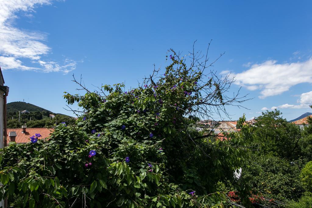 Apartment Tranquilo Dubrovnik Eksteriør billede